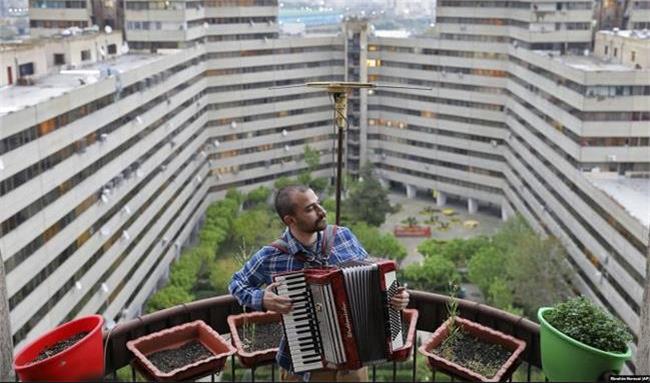 کنسرت‌های پشت بامی! / نوازندگان  دست به کار شدند