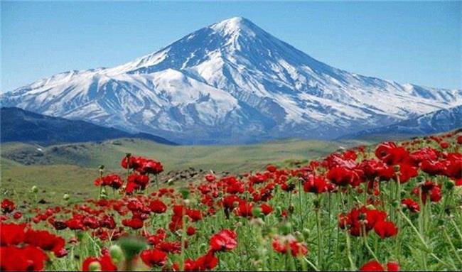 یک برش  از کوه دماوند وقف شد! / کوه یا کیک مسئله این است!