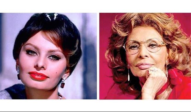 سوفیا لورن از بازگشت به سینما می گوید / از زیبا پیر شدن و همکاری با پسرش